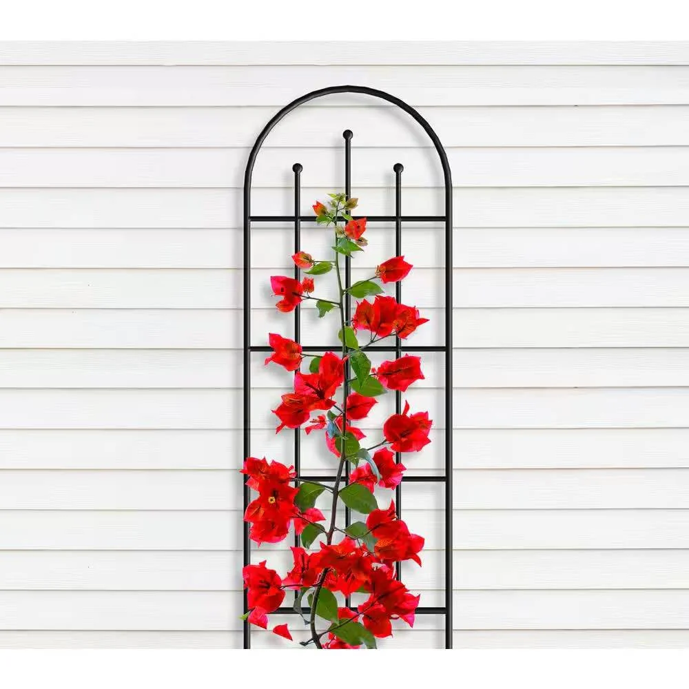 Trellises, Tuteurs, and Obelisks